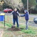 Újszülöttek fája (37)