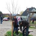 Újszülöttek fája (42)