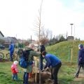 Újszülöttek fája (48)