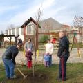 Újszülöttek fája (52)