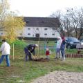 Újszülöttek fája (53)