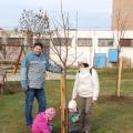 Újszülöttek fája (56)